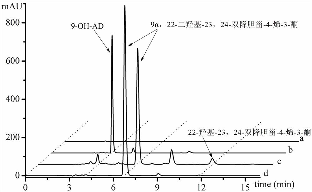 Genetically engineered bacteria and its application in the preparation of 9α,22-dihydroxy-23,24-bisnorcholest-4-en-3-one