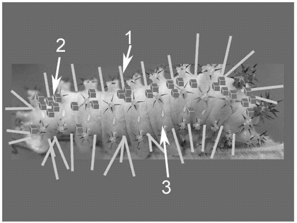 Direct sodium borohydride fuel cell anode and manufacture method thereof