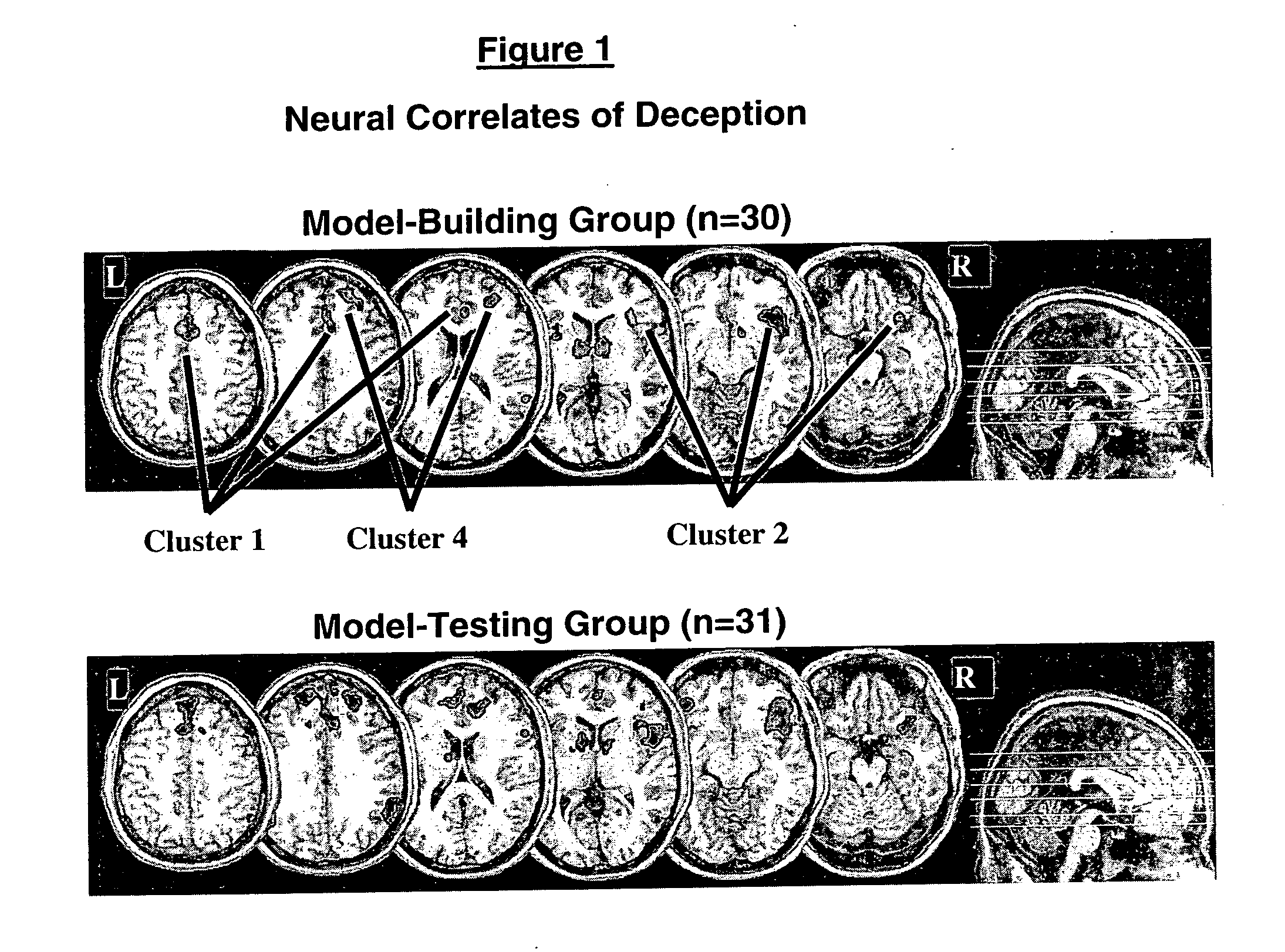 Questions and control paradigms for detecting deception by measuring brain activity