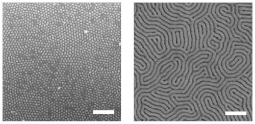 Method for directing block copolymers to form nanostructures