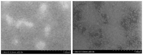 Method for directing block copolymers to form nanostructures