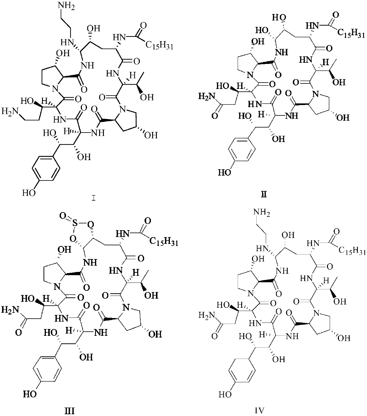 Synthesis method of caspofungin