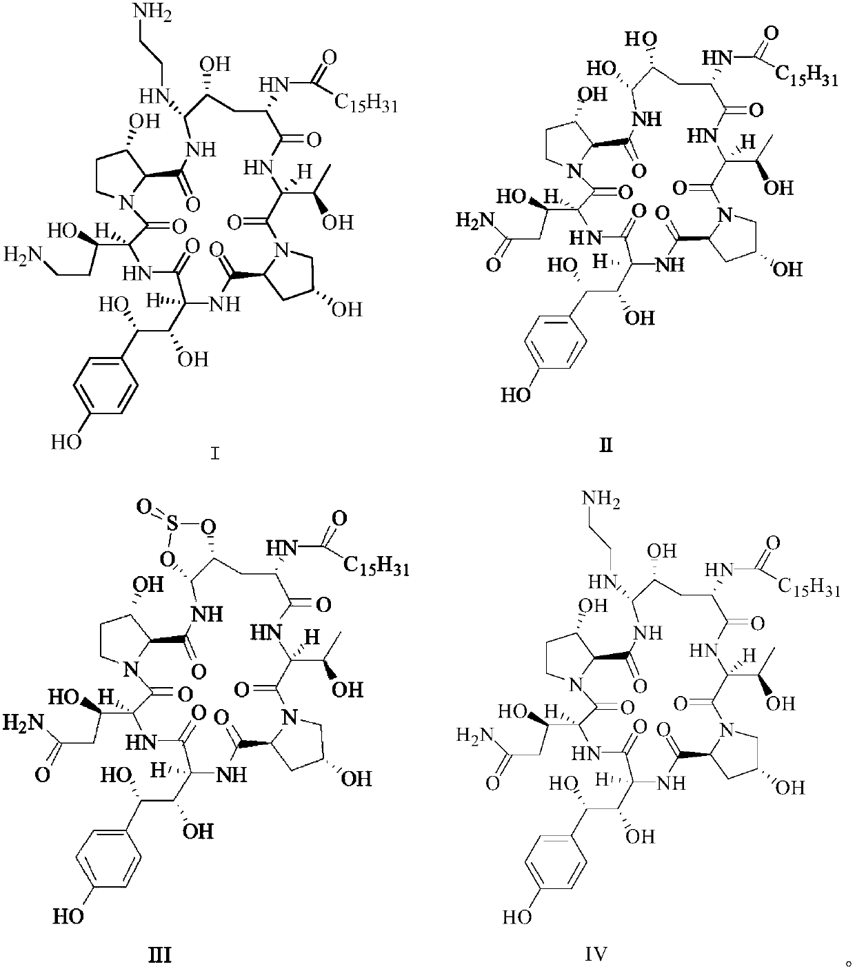 Synthesis method of caspofungin