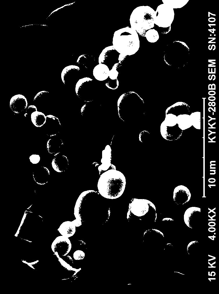 Cyclosporin A pulmonary inhaled macroporous microspheres and preparation method thereof