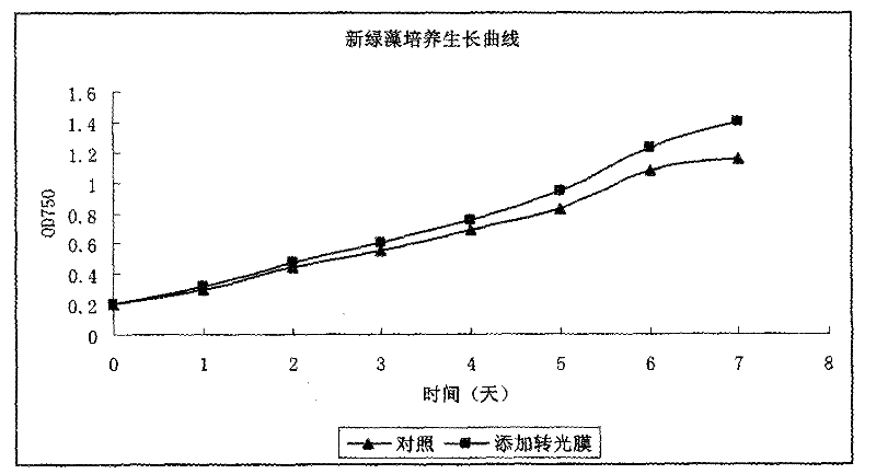 Two-step method for cultivating microalgae by using light conversion film