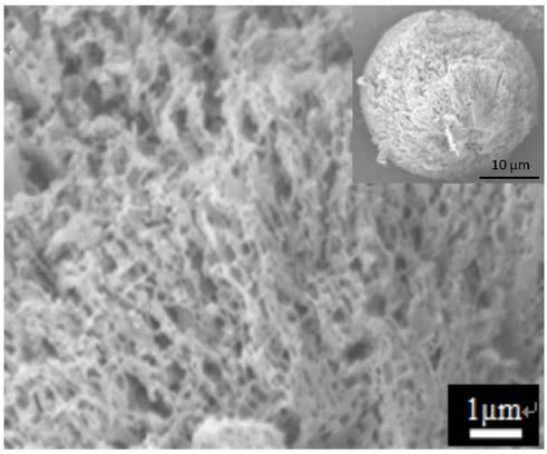 Preparation method of hydroxyapatite/modified polylactic acid composite microspheres