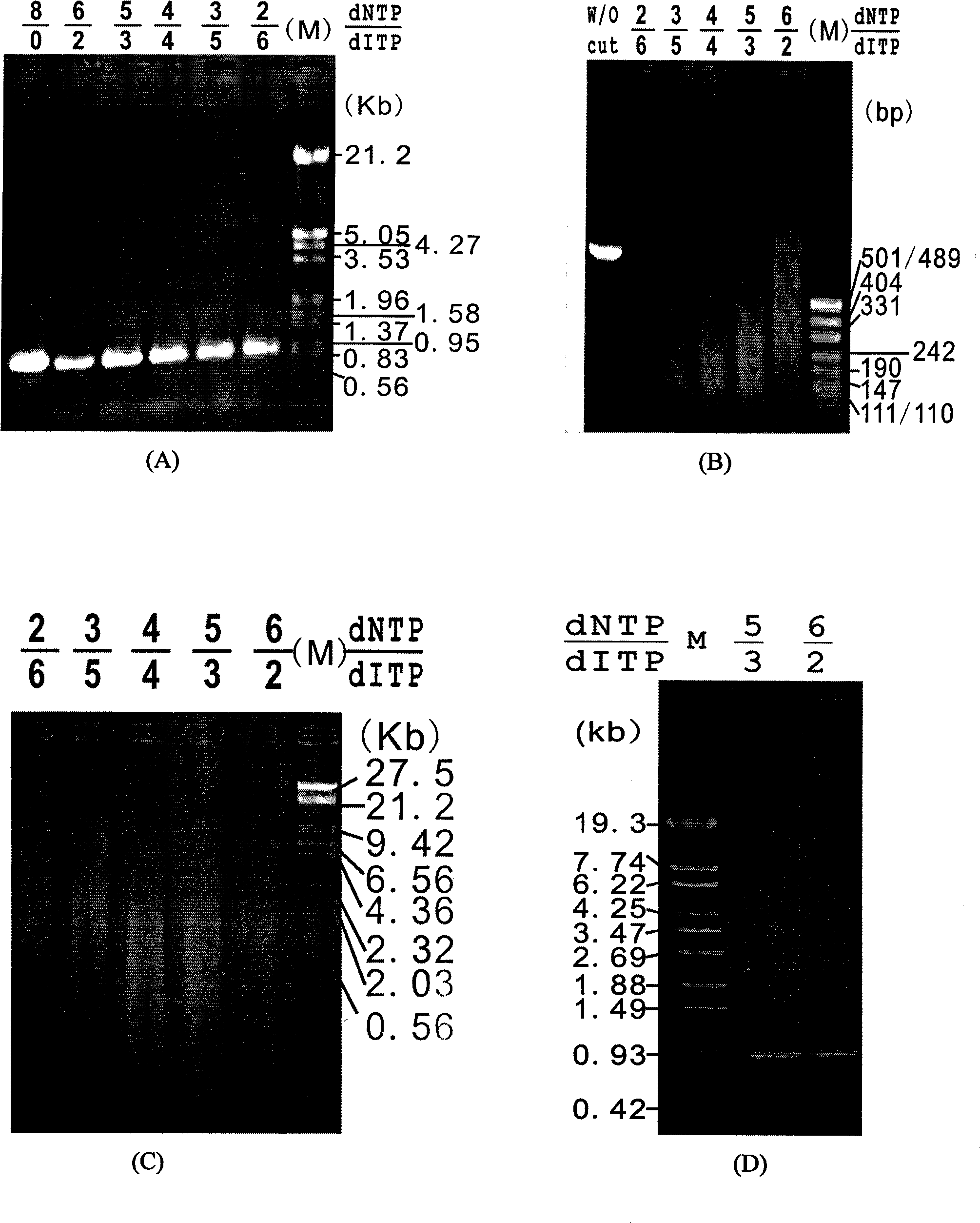 New gene mutation recombination method and application thereof