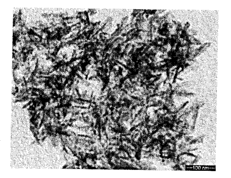 Method for preparing nano magnesium whitlockite powder