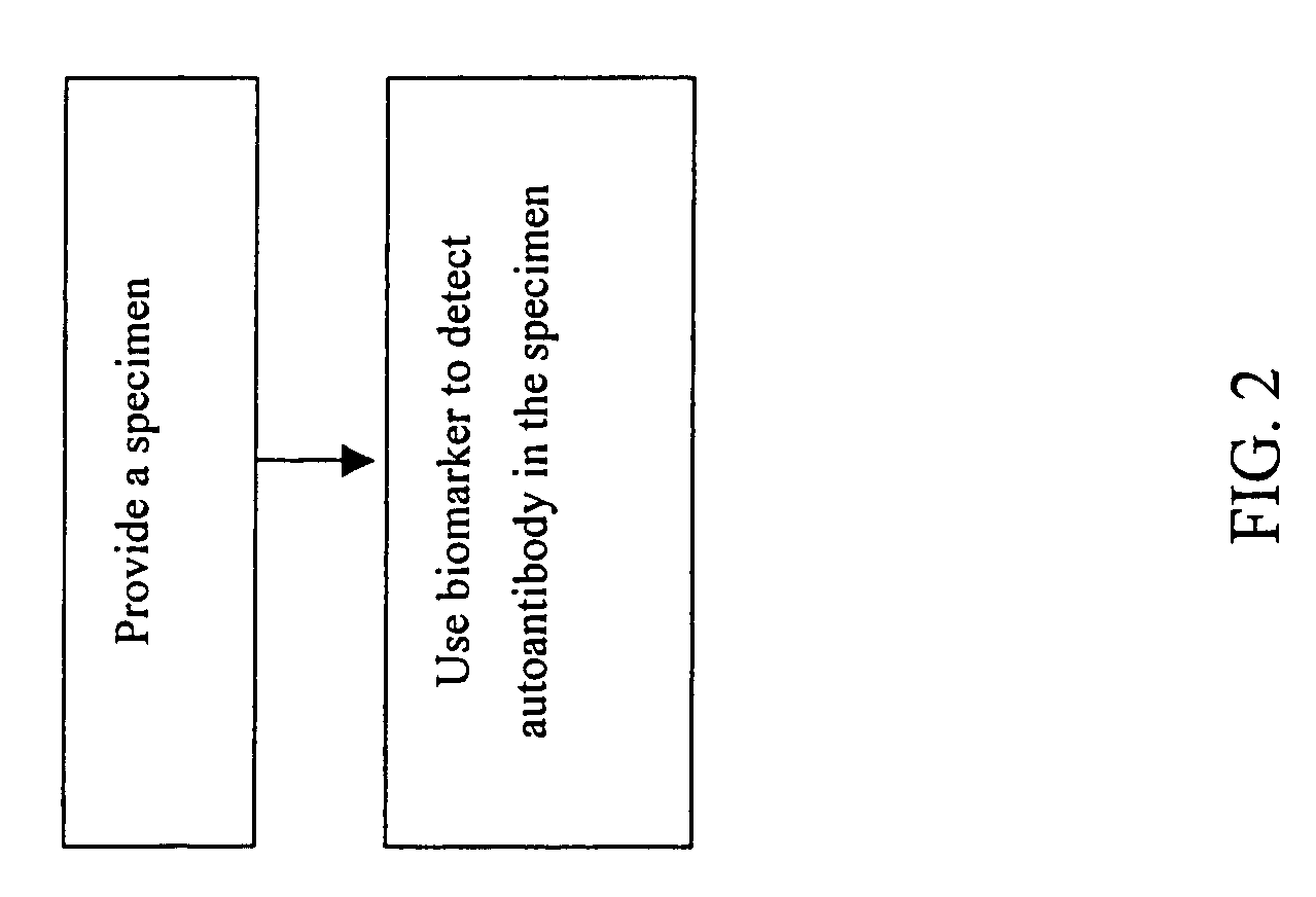 Biomarkers for liver diseases and method for using the same