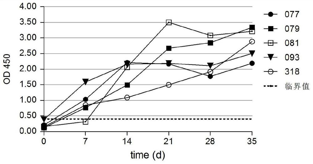 Application of Mycoplasma capricolum subsp. capricepneumonia mccp1801 in preparation of goat infectious pleuropneumoniae vaccine