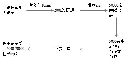 Denitrifying strain with nitrifying function, strain-containing water body improver of multiple active microorganisms and preparation method of water body improver