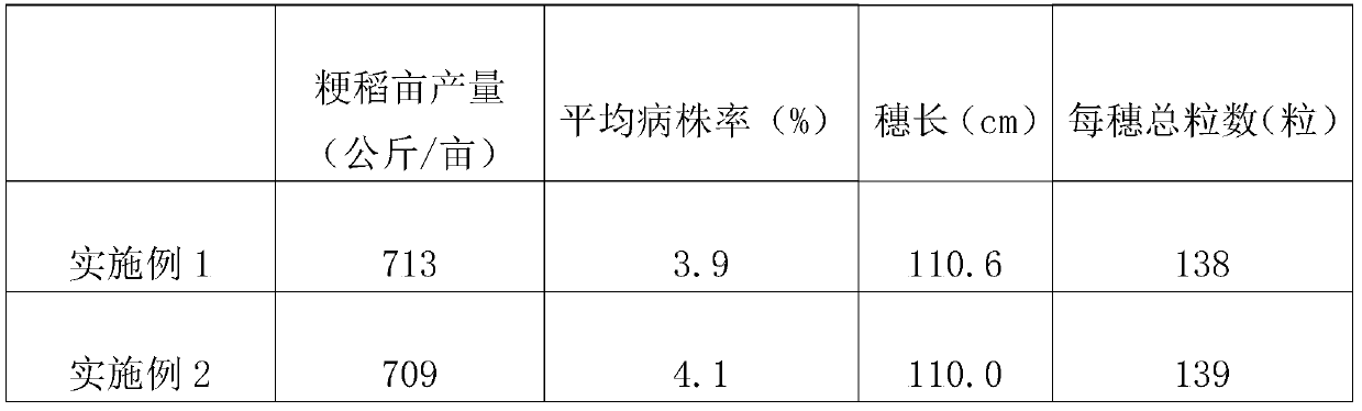 High-yield cultivation method of japonica rice