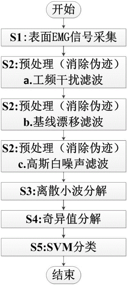 Method for identifying human lower limb surface EMG signals (electromyographic signals)