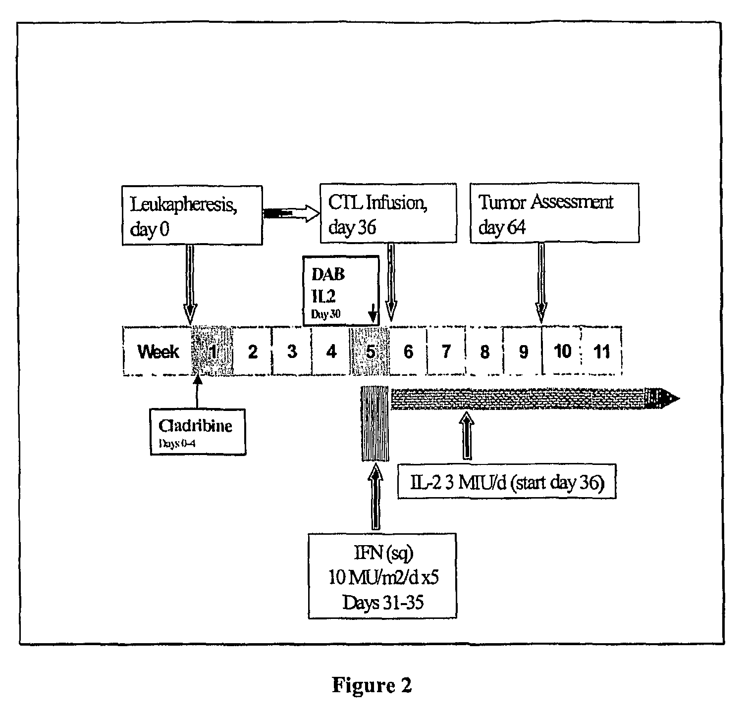 Cancer treatment combining lymphodepleting agent with CTLs and cytokines