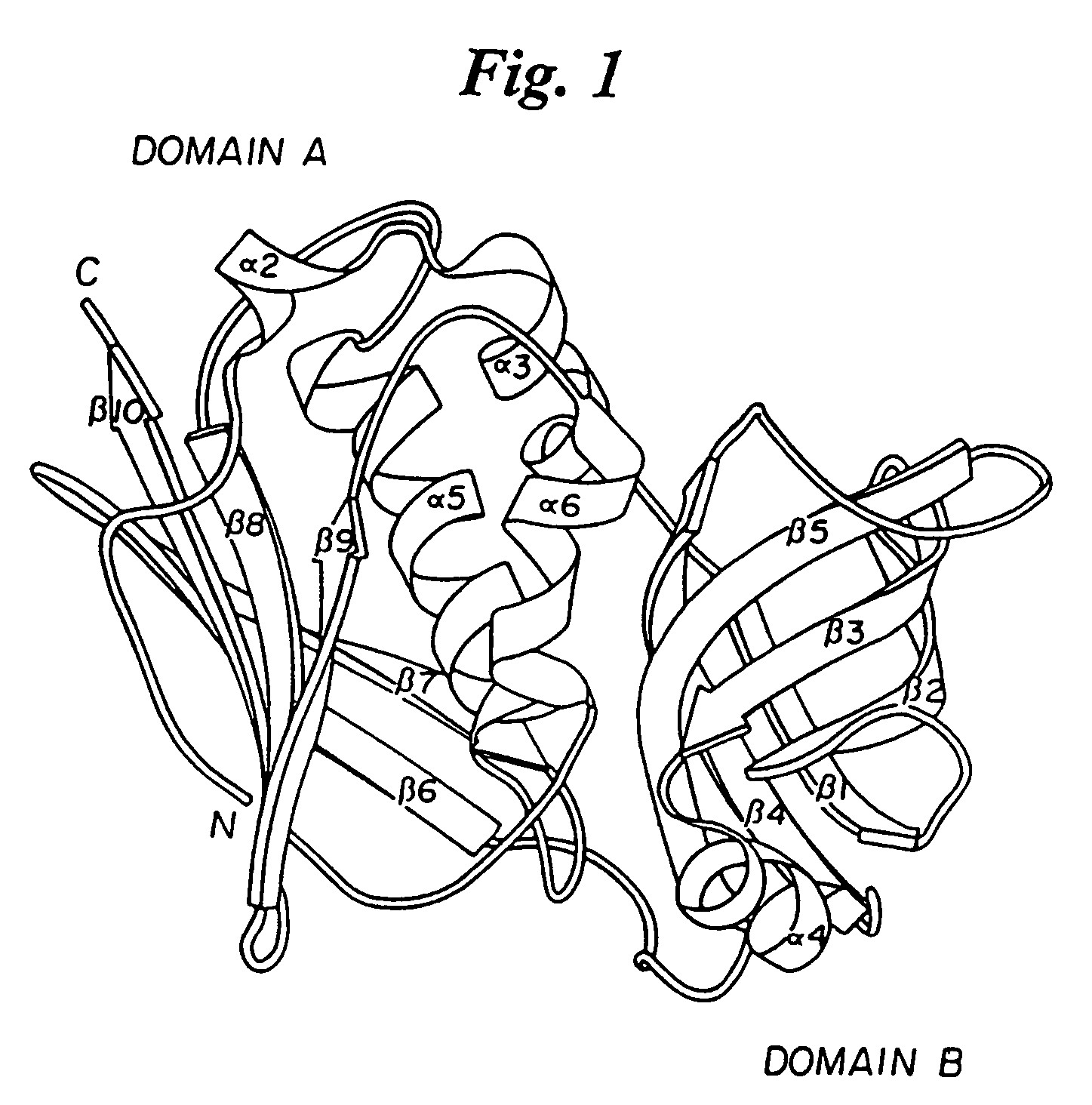 Mutants of streptococcal toxin a and methods of use