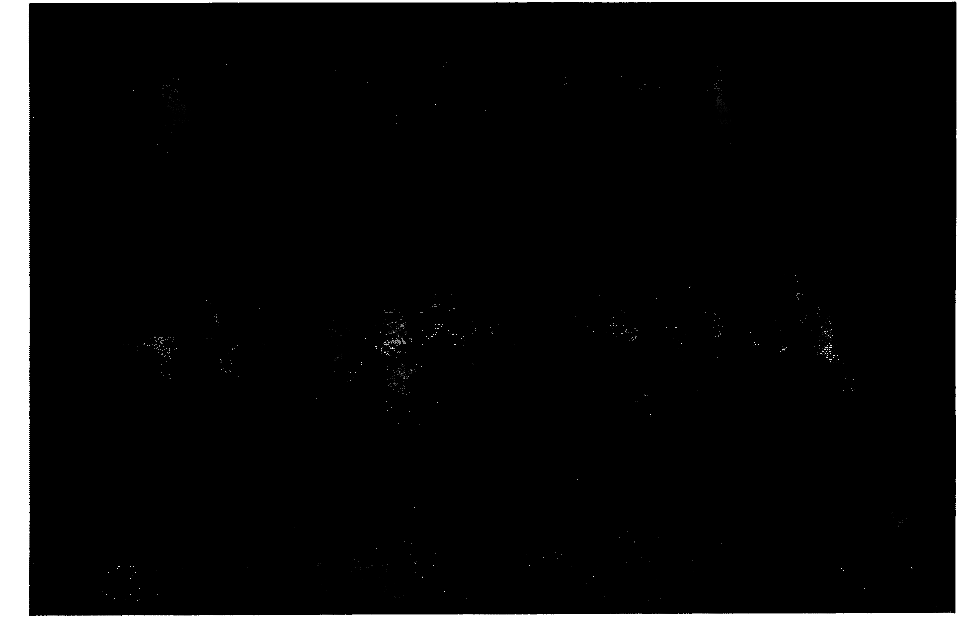 Zoning adaptive network system based on cluster server and building method