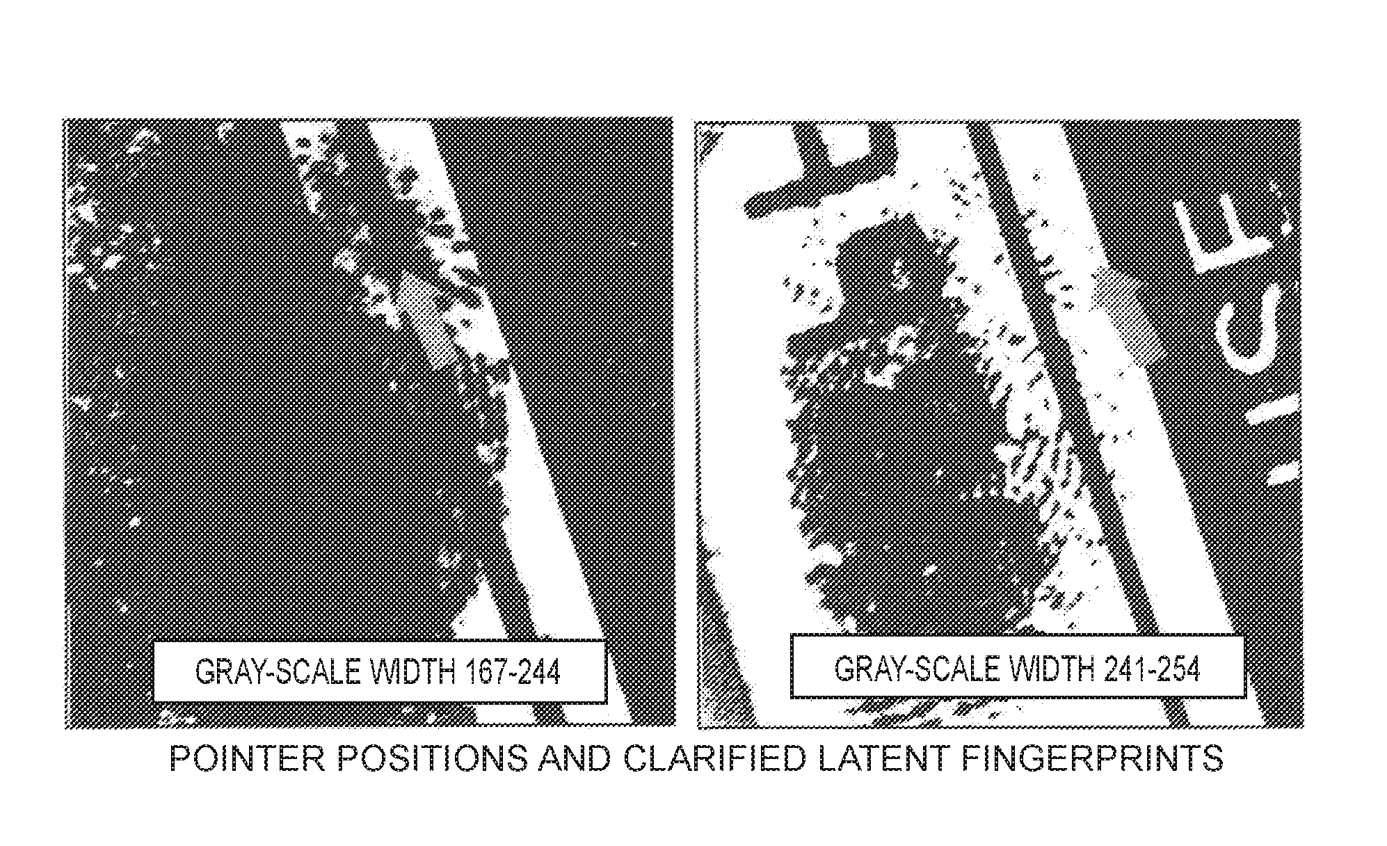 Fingerprint minutia display input device, fingerprint minutia display input method, and fingerprint minutia display input program