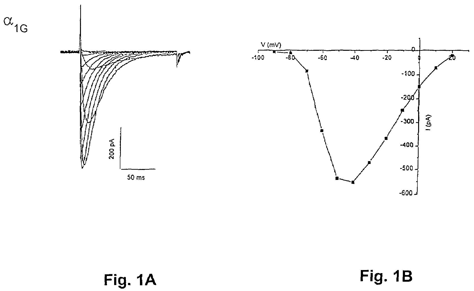 Methods for identifying agonists and antagonists of human T-type calcium channels