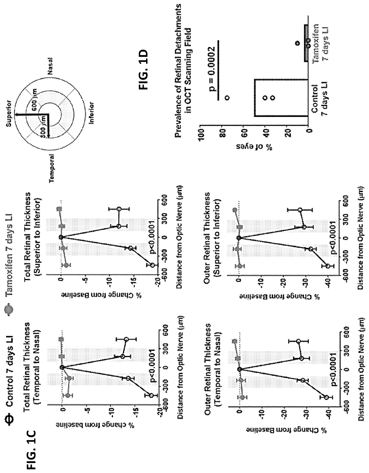 Selective estrogen-receptor modulators (SERMs) confer protection against photoreceptor degeneration