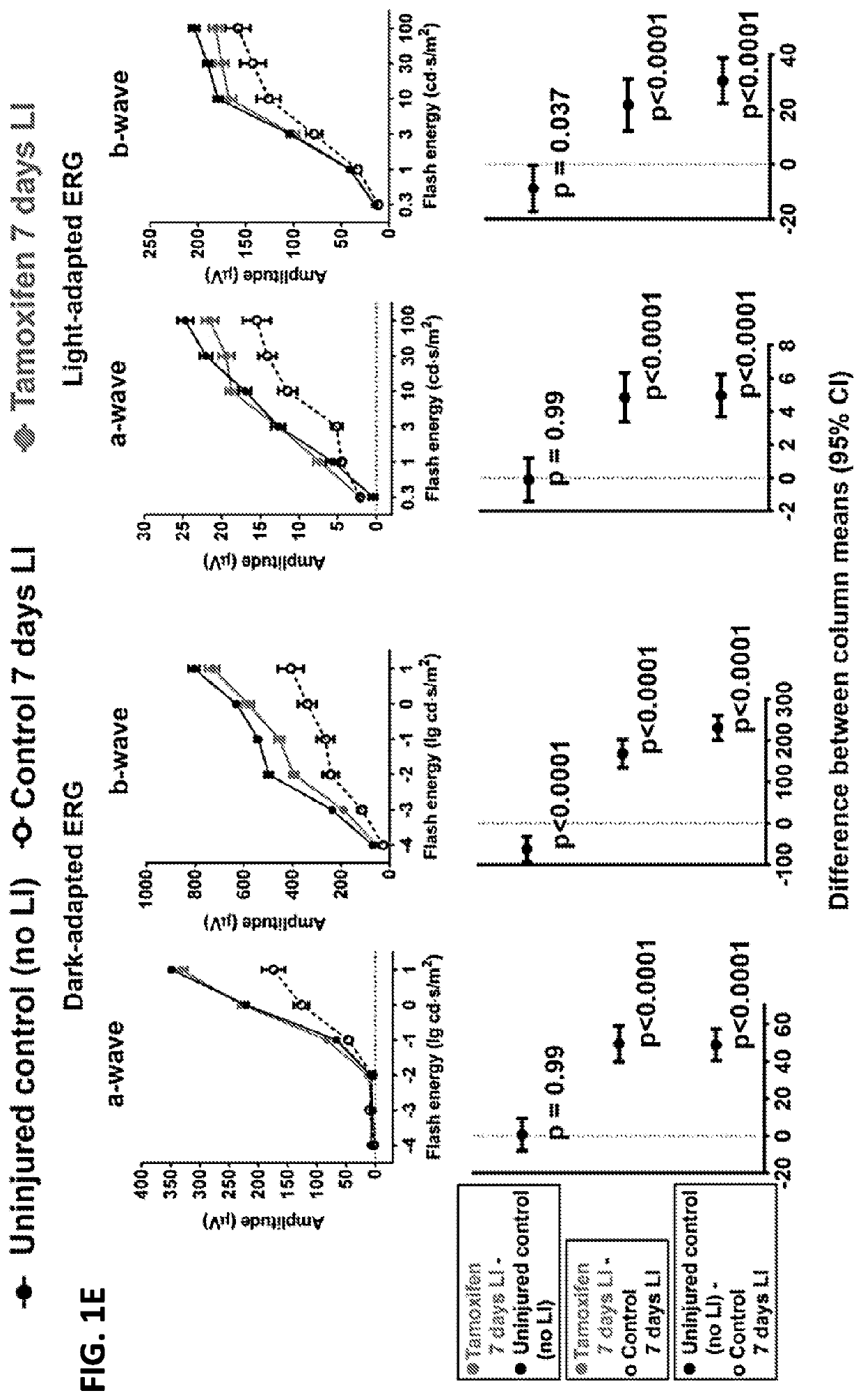 Selective estrogen-receptor modulators (SERMs) confer protection against photoreceptor degeneration