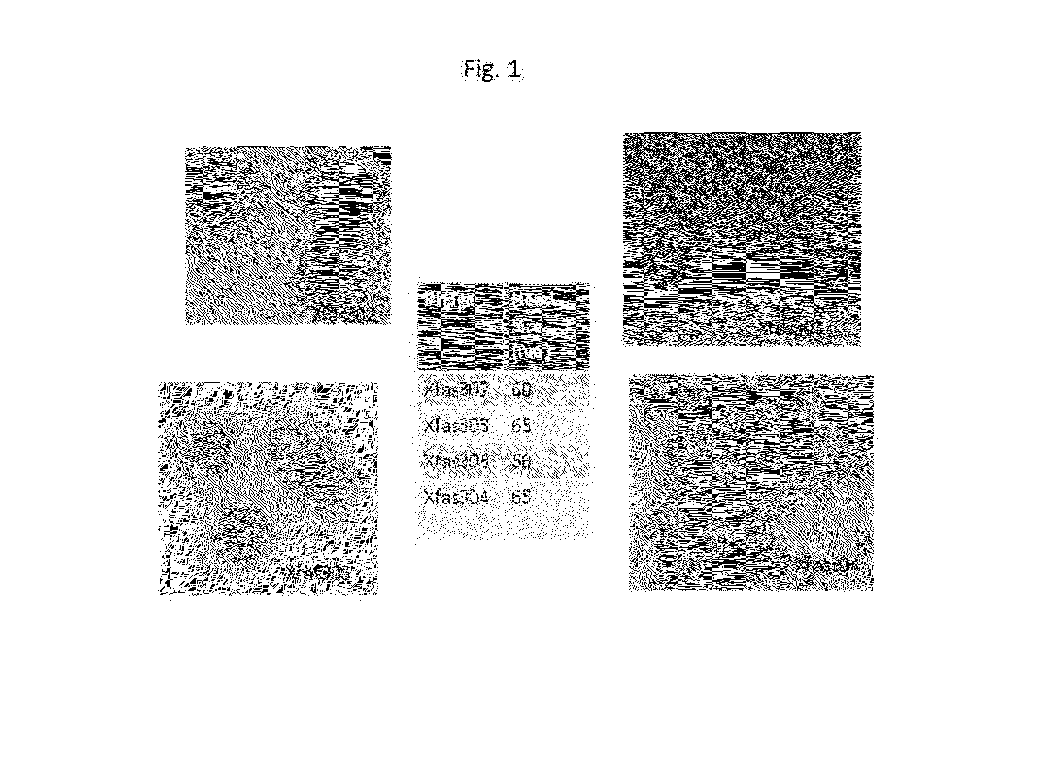 Method for treatment and control of plant disease