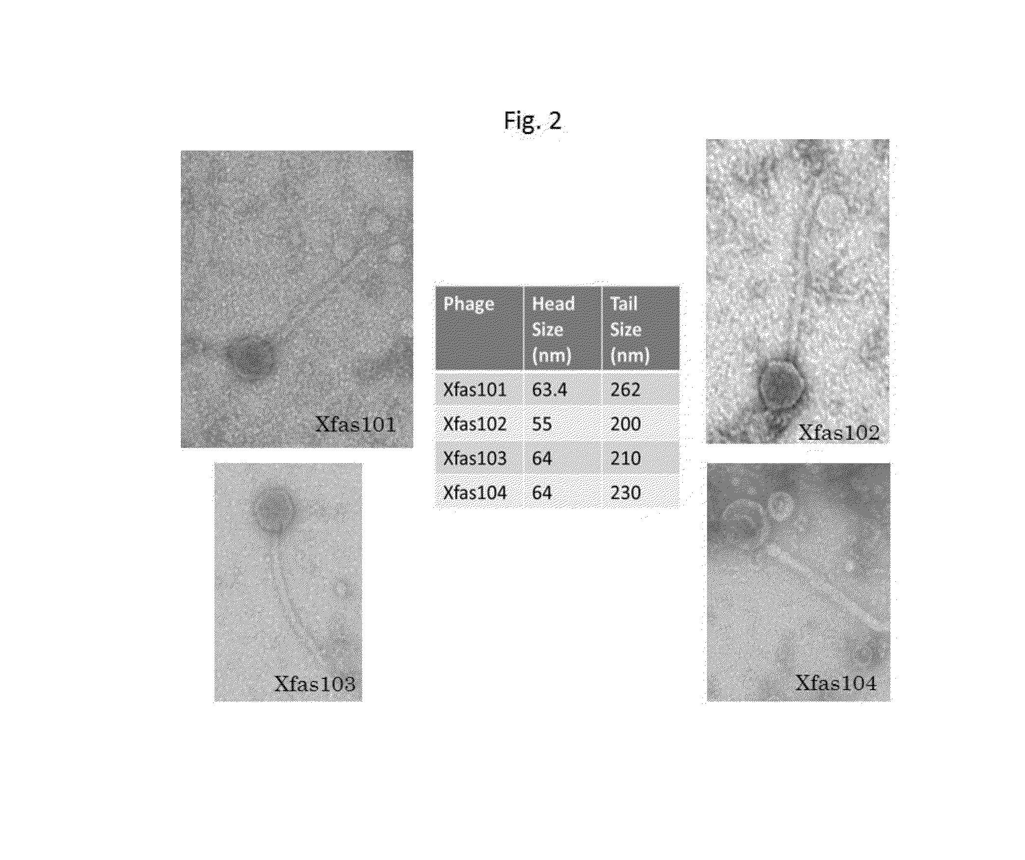 Method for treatment and control of plant disease