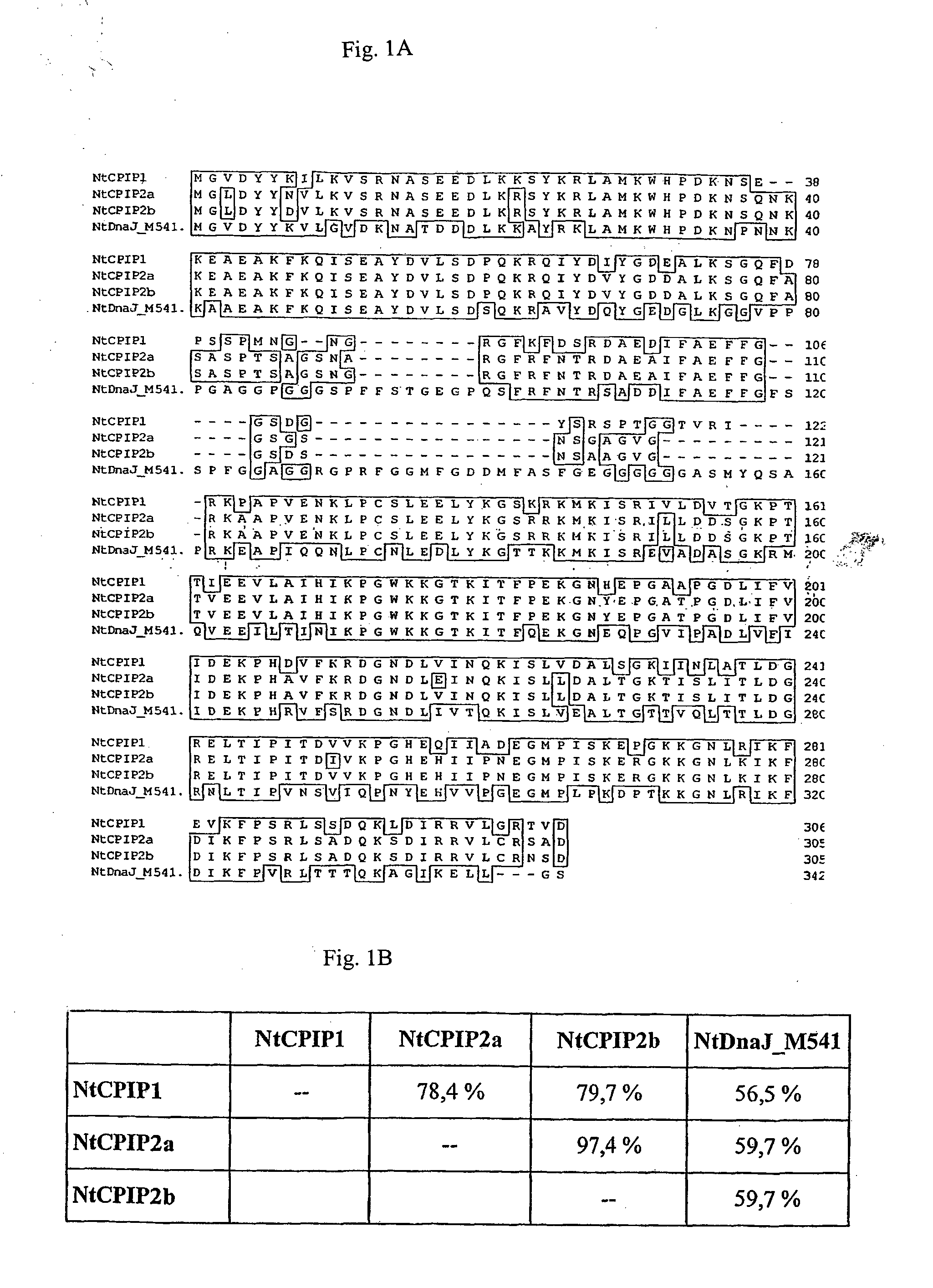 Method for the production of transgenic plants with increased virus resistance by silencing vegetable DnaJ-like proteins