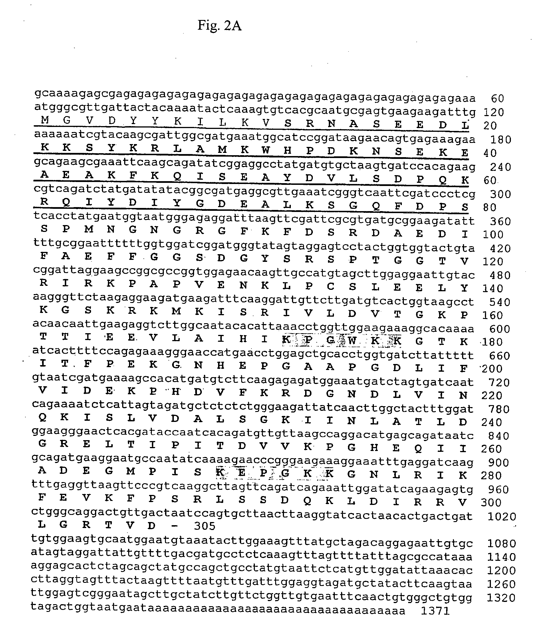 Method for the production of transgenic plants with increased virus resistance by silencing vegetable DnaJ-like proteins