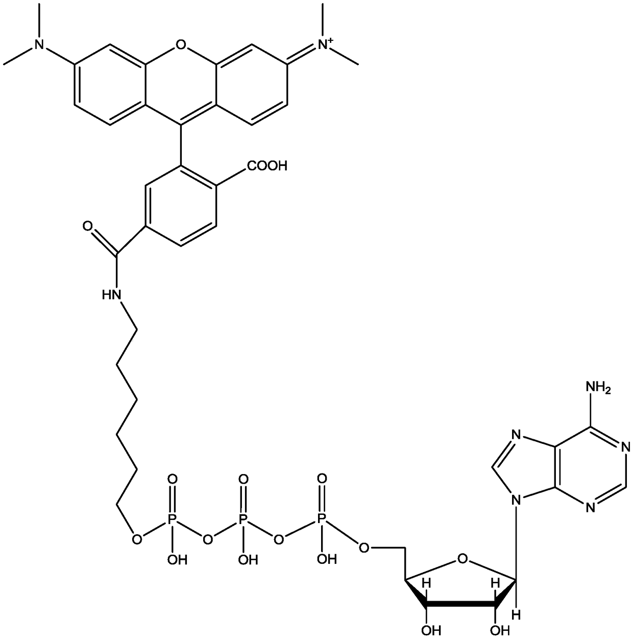 A kit for detecting ATP with nucleic acid aptamer and its detection method