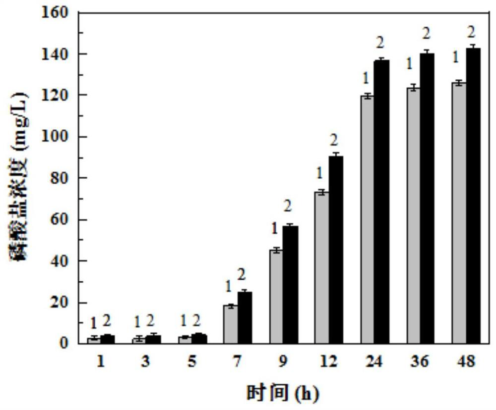 Preparation method and application of bone black/CMC (carboxy methylated cellulose) stabilized FeS composite material loaded phosphate solubilizing bacteria functionalized microbial agent