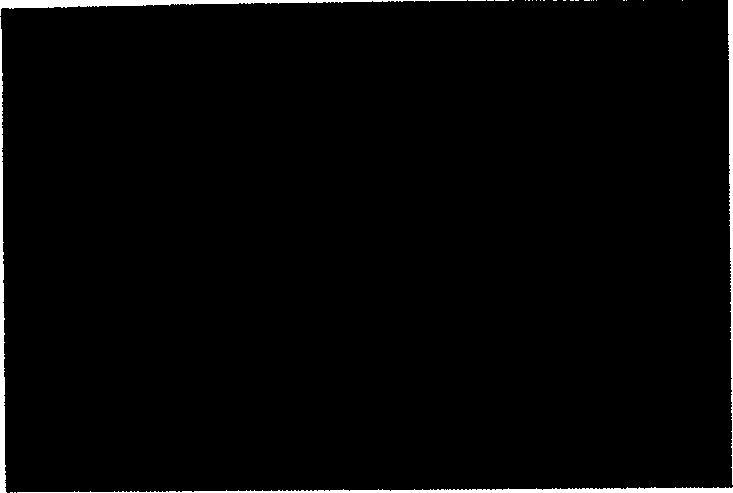 Composite nano fiber endless tow preparing apparatus and its preparing method