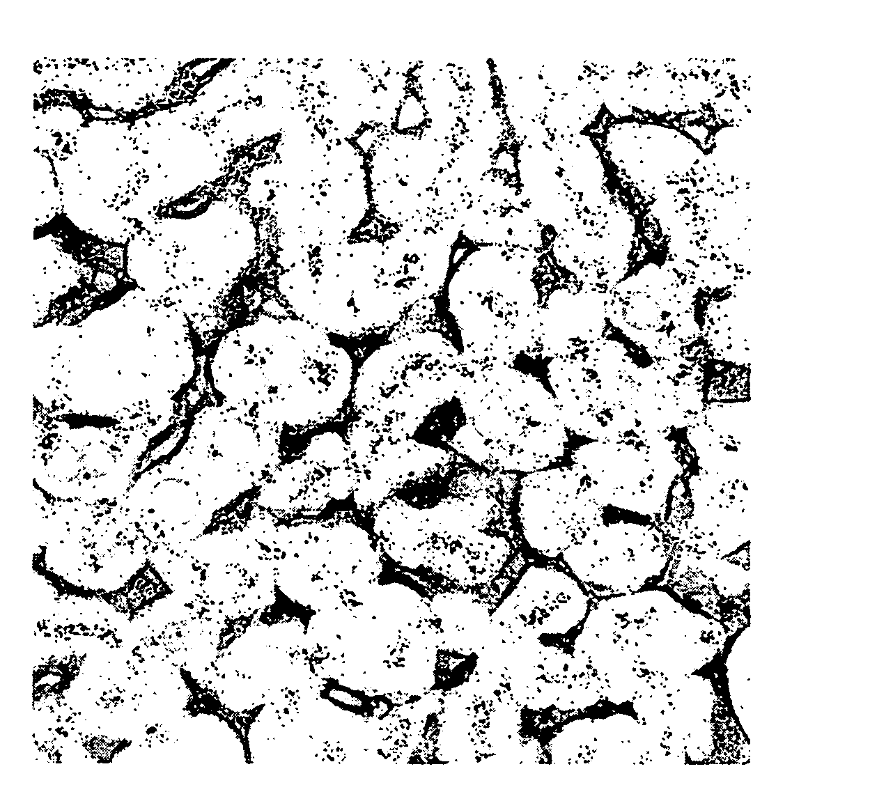 Compounds and Methods for Reversible Modification of Biologically Active Molecules