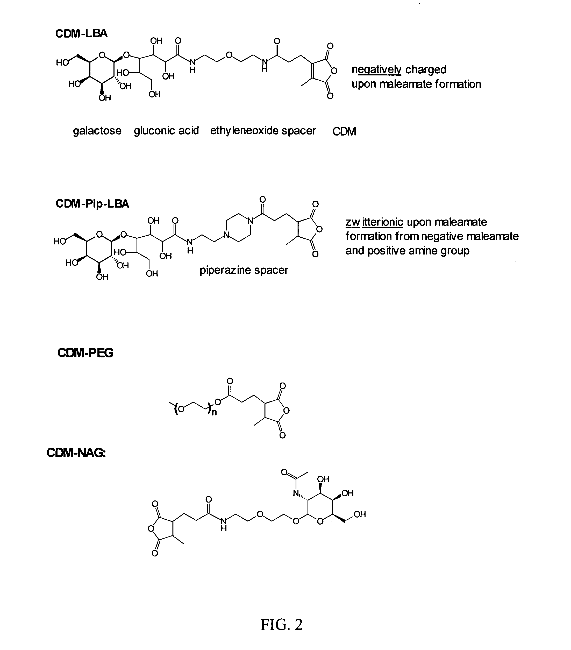 Compounds and Methods for Reversible Modification of Biologically Active Molecules