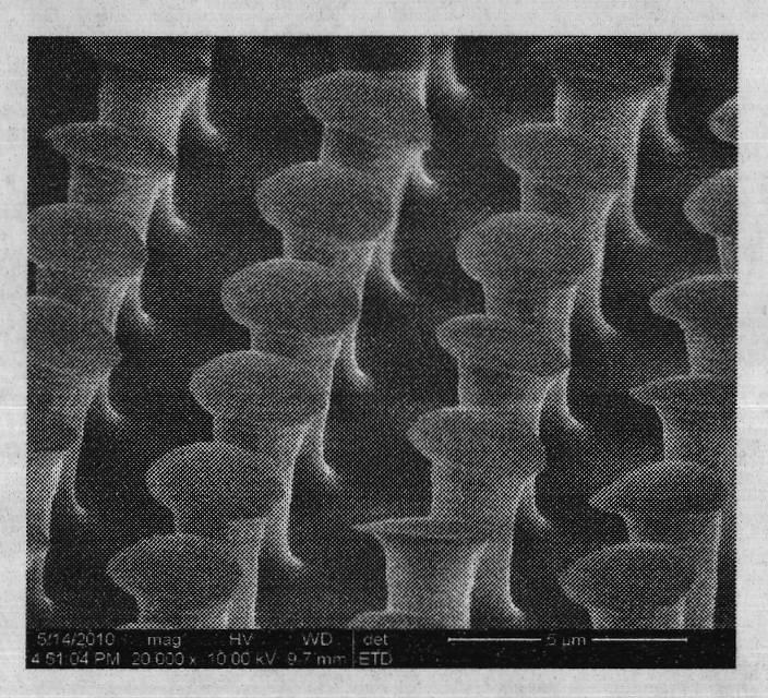 Method for preparing bionic adhesion arrays with different top end structures