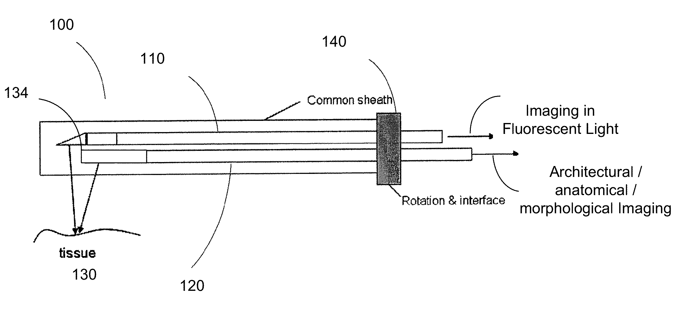 Hybrid systems and methods for multi-modal acquisition of intravascular imaging data and counteracting the effects of signal absorption in blood