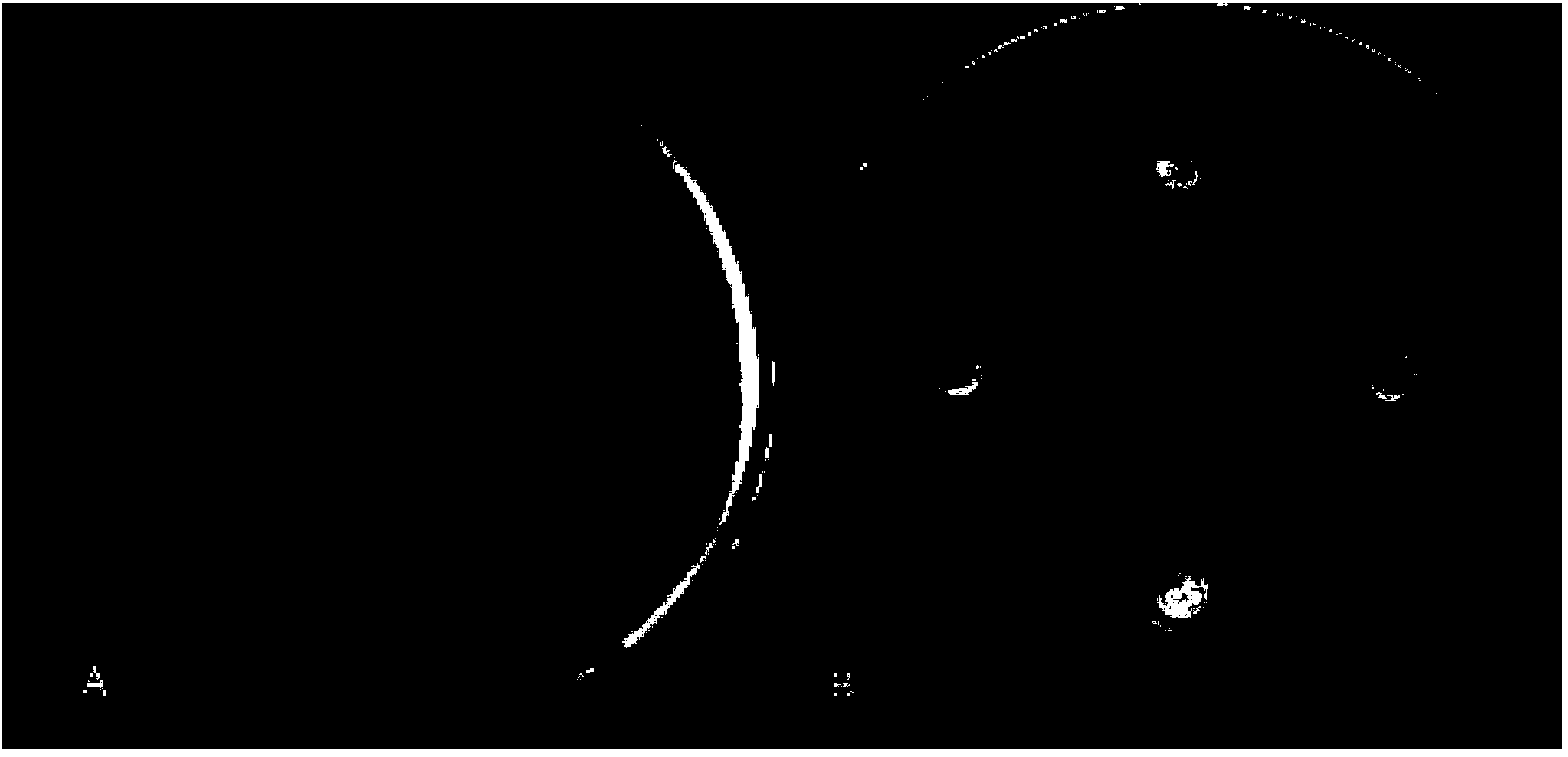 Bacillus subtilis LNXM37 and application thereof