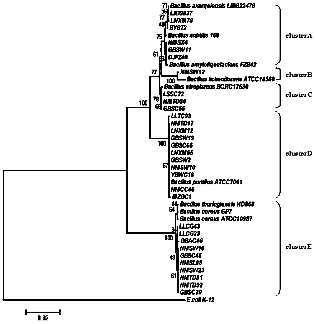 Bacillus subtilis LNXM37 and application thereof