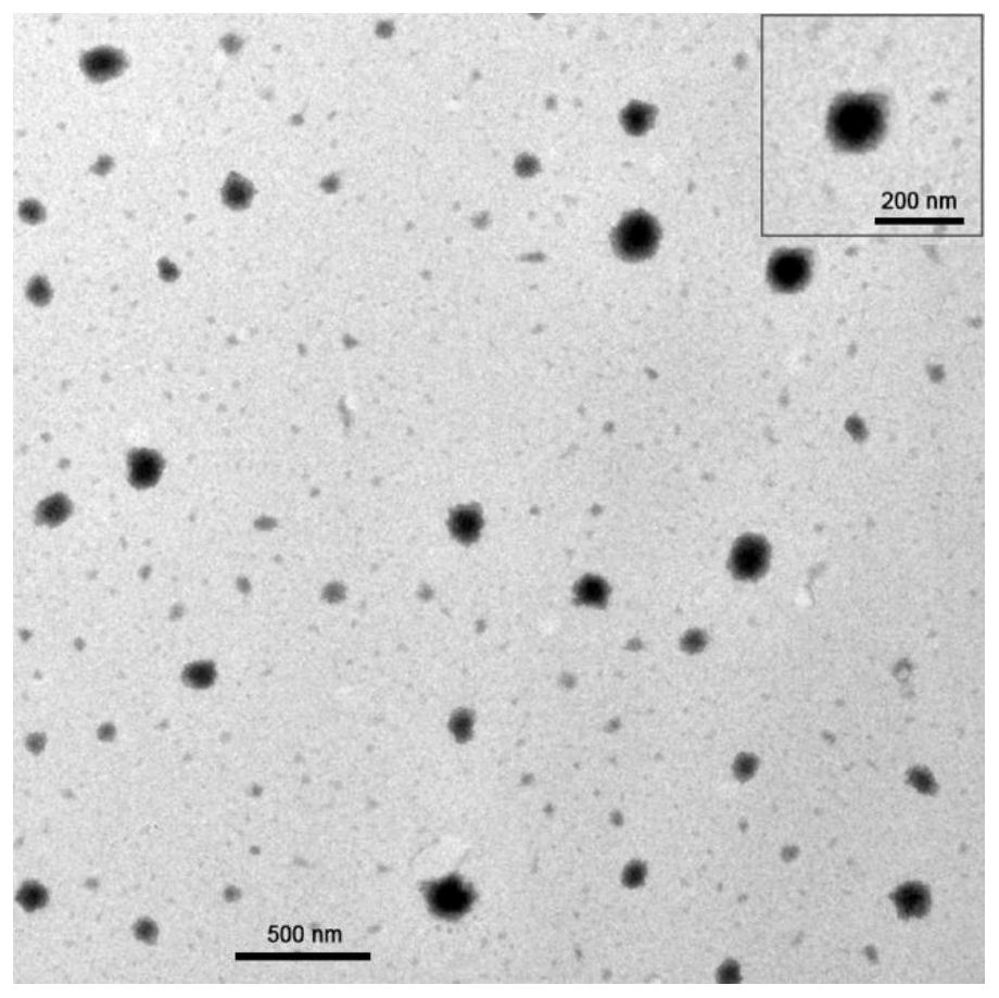 A kind of doxorubicin and gene drug co-delivery nano drug loading system and preparation method