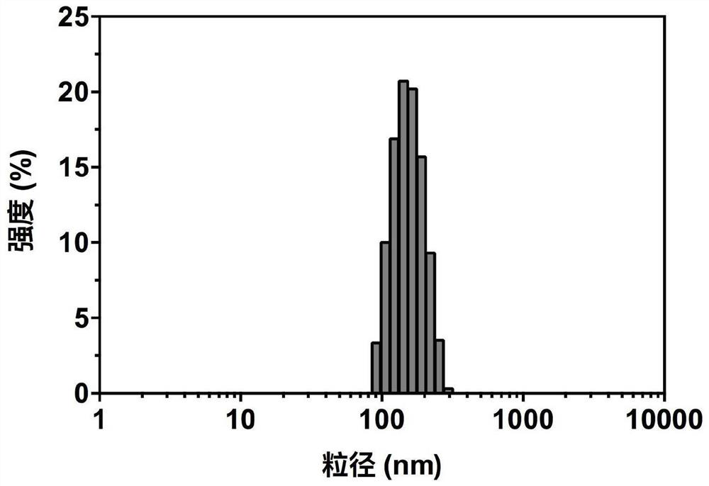 A kind of doxorubicin and gene drug co-delivery nano drug loading system and preparation method