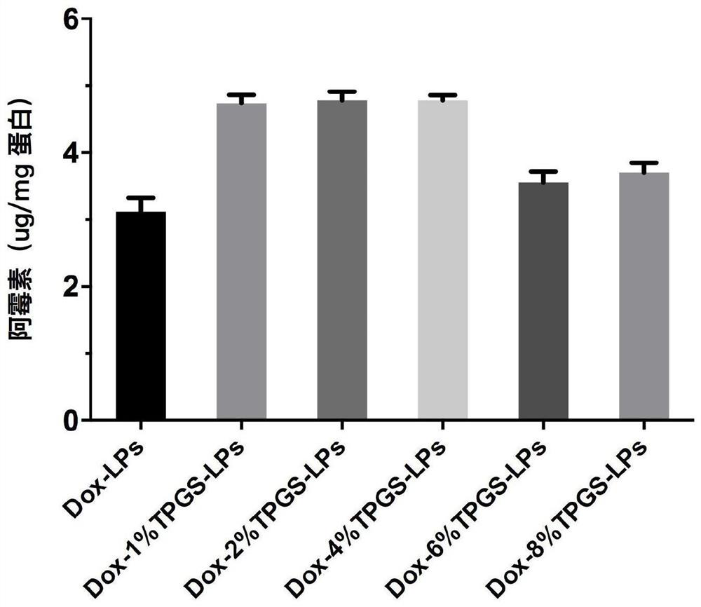 A kind of doxorubicin and gene drug co-delivery nano drug loading system and preparation method