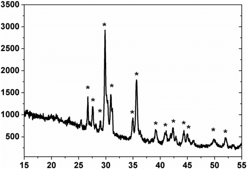 Bioactive porous ceramic tubular bar material as well as preparation method and application thereof