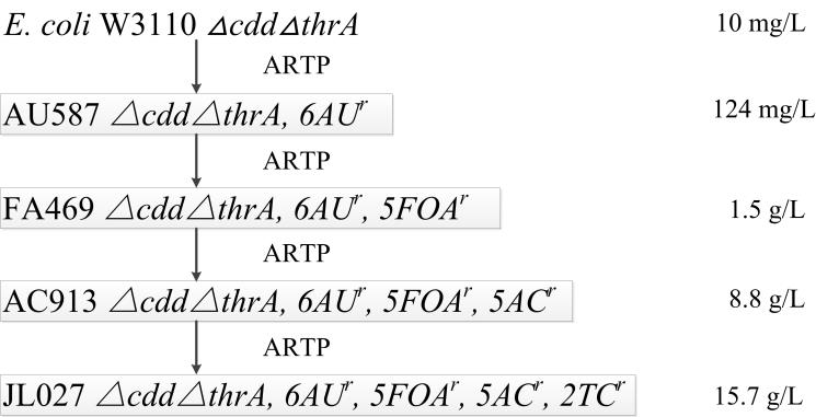 A kind of Escherichia coli mutant strain with high cytidine production and method for producing cytidine by fermentation