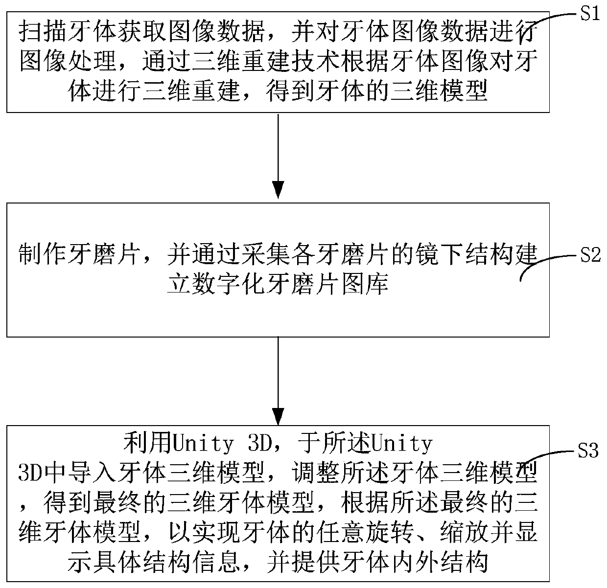 A three-dimensional tooth model construction method and system based on Unity 3D