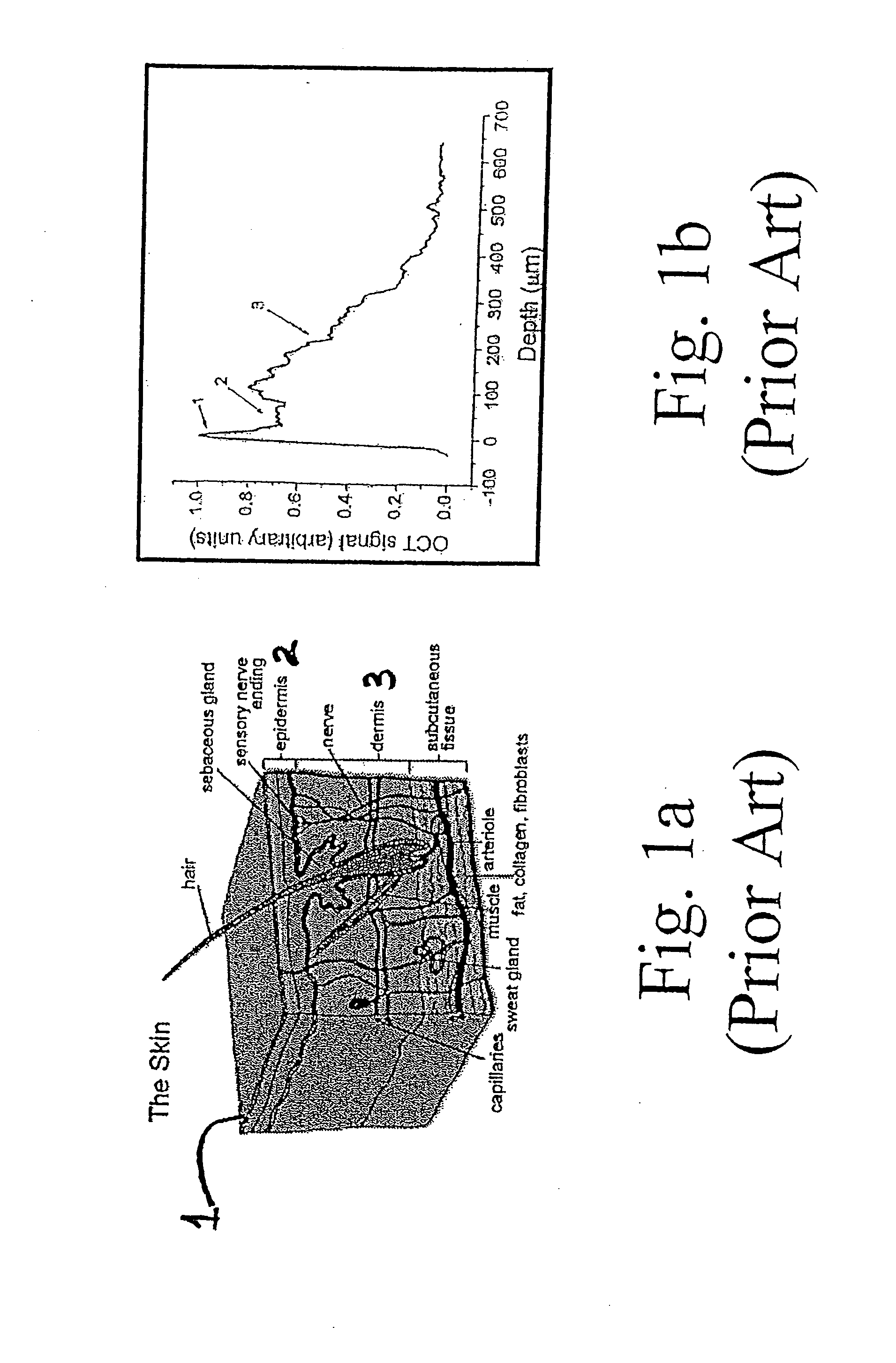 Method and apparatus for monitoring glucose levels in a biological tissue