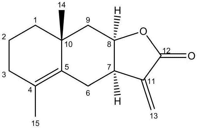 Preparation method of effective part of Inula helenium L. sesquiterpene lactone and application thereof to pancreatic cancer resistance