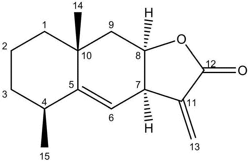 Preparation method of effective part of Inula helenium L. sesquiterpene lactone and application thereof to pancreatic cancer resistance