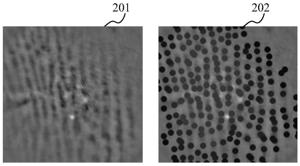 Biological feature extraction model training method and image segmentation method