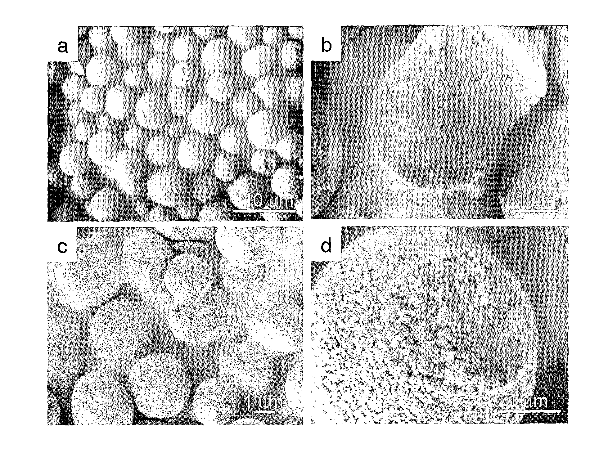 Mesoporous Polymer Colloids