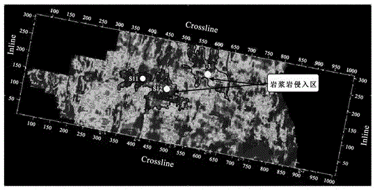 Method for interpreting range of magmatic rock intrusion into coal layer based on seismic information