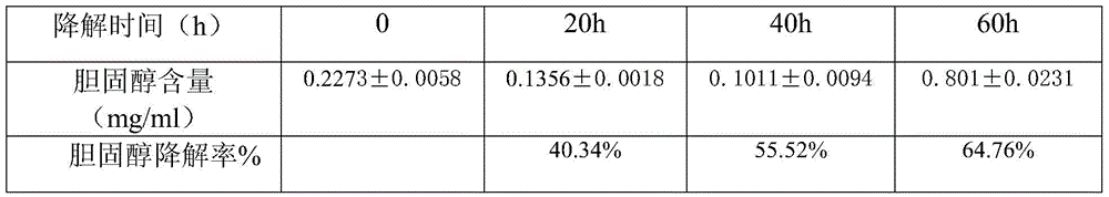 Dry red wine and production method thereof